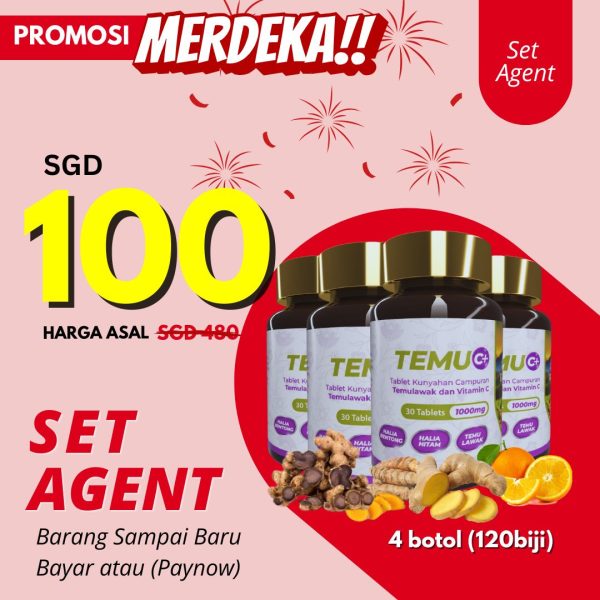 SET AGENT TEMU C+